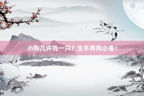 小狗几许钱一只？生手养狗必看！