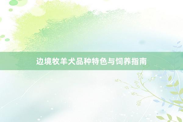 边境牧羊犬品种特色与饲养指南